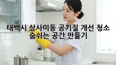 태백시 상사미동 공기질 개선 청소: 숨쉬는 공간 만들기