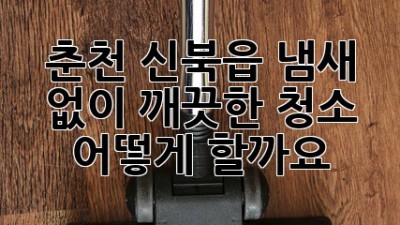 춘천 신북읍 냄새 없이 깨끗한 청소, 어떻게 할까요?