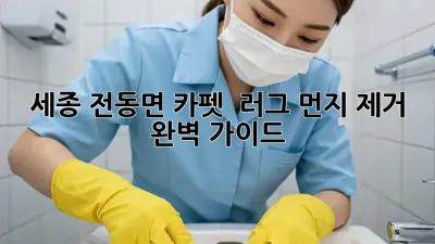 세종 전동면 카펫 & 러그 먼지 제거 완벽 가이드